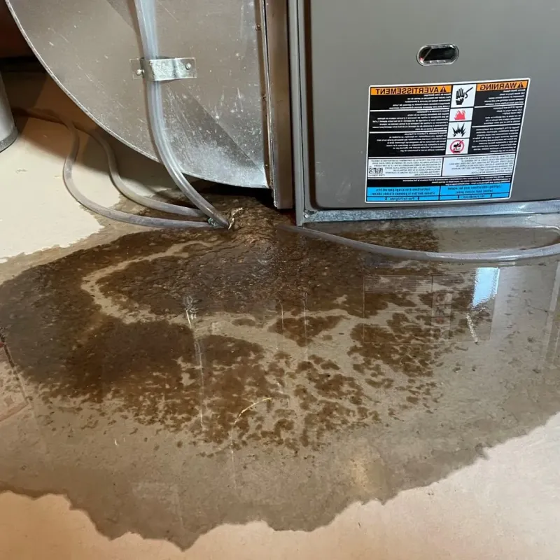 Pipe Burst and Leak Restoration in Jay, ME