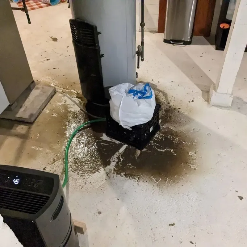 Sewage Backup Cleanup Service in Jay, ME